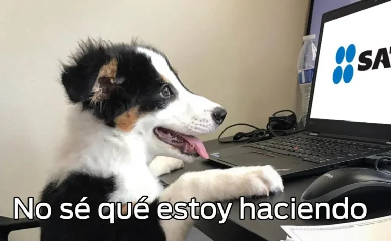 ¿Tengo que pagar impuestos al SAT por mis ganancias de apuestas deportivas online? – México 2023