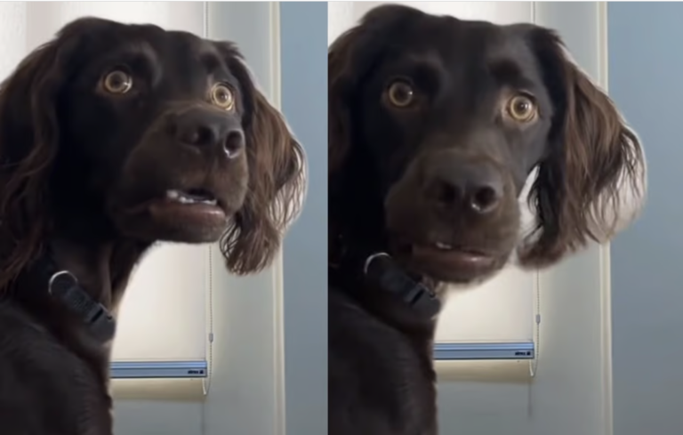 Bank, under, locks, altas, yield… ¿Qué chingados es eso? – Glosario Básico de Apuestas